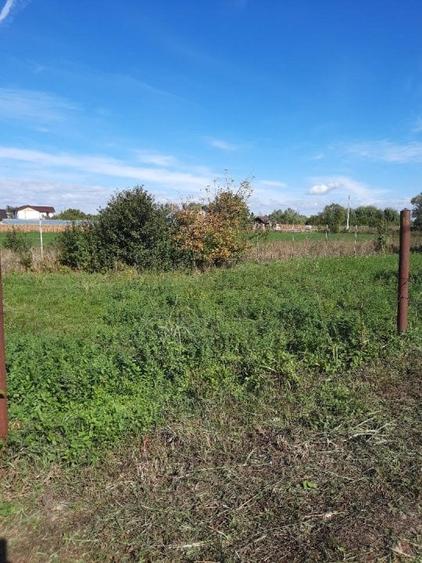 Casa Targsoru Vechi-Jud. Prahova - 19