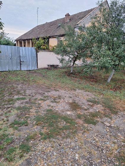 Vand Casa la 35 km de Timi?oara! - 1