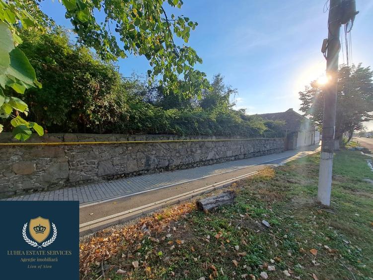 Casa uriasa pentru familii numeroase - 4