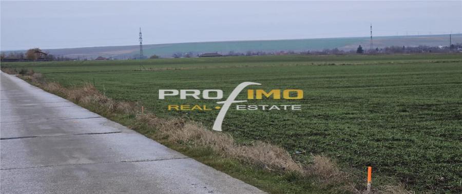 Plaja Corbu-Teren 4200mp. la numai 8 euro /mp. Soseaua asfal - 4