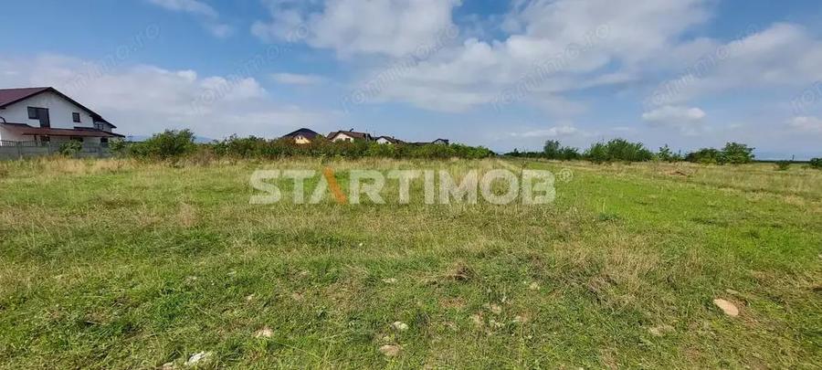 Teren Intravilan Tarlugeni - 1