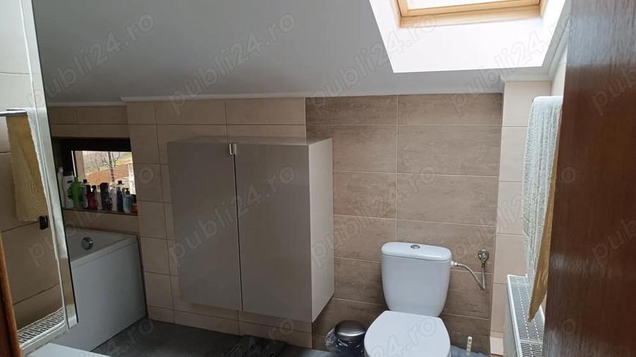 Apartament in Busteni,2 camere - 4