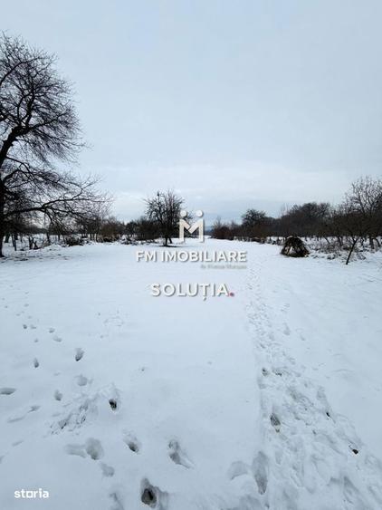 Casa cu teren generos in Buciumi - 1