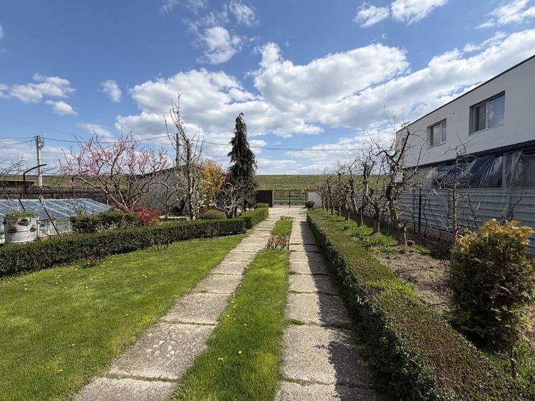 VAND CASA CU GRADINA proprietate deosebiata | 1414 mp teren - 6