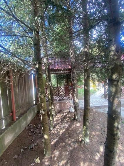 VILA  10 camere P + 1 si TEREN in ZONA HALOS - LOCUINTA BUSSINES IN MANASTIREA C - 3