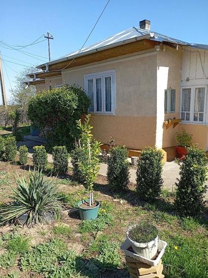 Casa locuita in prezent, de vanzare - 4