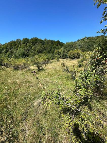 Teren 3.552 mp de vanzare Marginea, zona Dealu Fatului - 3