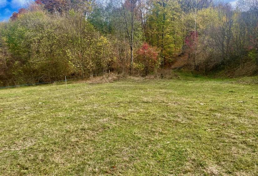 Teren la padure, panoramic dealuri si paduri, curent si asfalt - 5