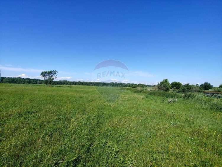 Spatiu industrial de 480mp+teren de 15069mp in Dornesti, Suceava - 21