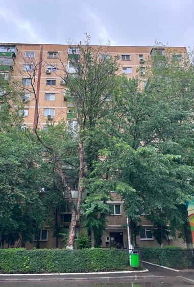 PET FRIENDLY - Apartament 2 camere | zona Raul Doamnei (Sector 6) - 7