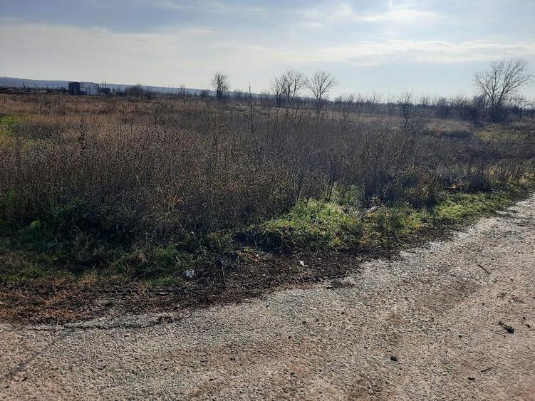 FARA COMISION TEREN intravilan curs constructii la 20m de asfalt gaze curent - 4