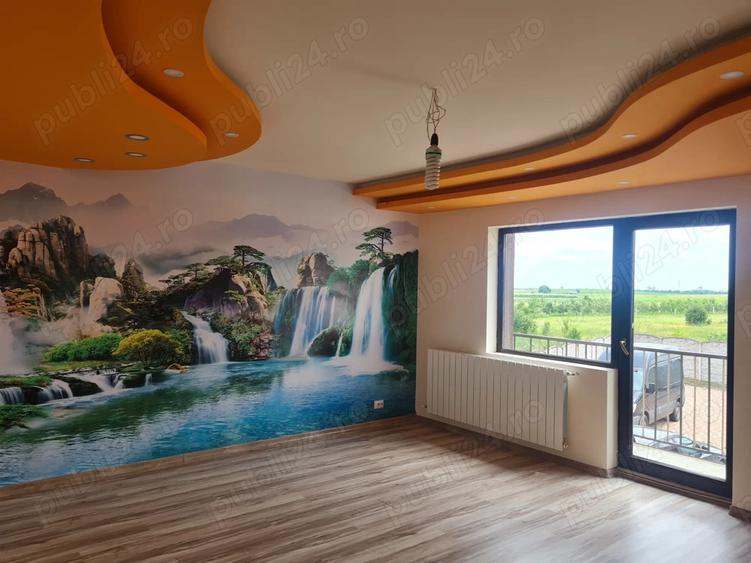 Casa vanzare sau inchiriere - 10