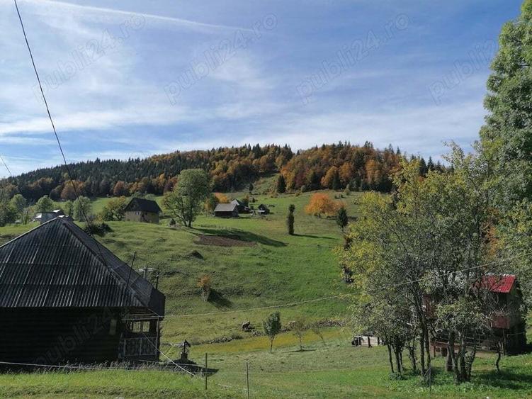 Inima Transilvaniei - 6