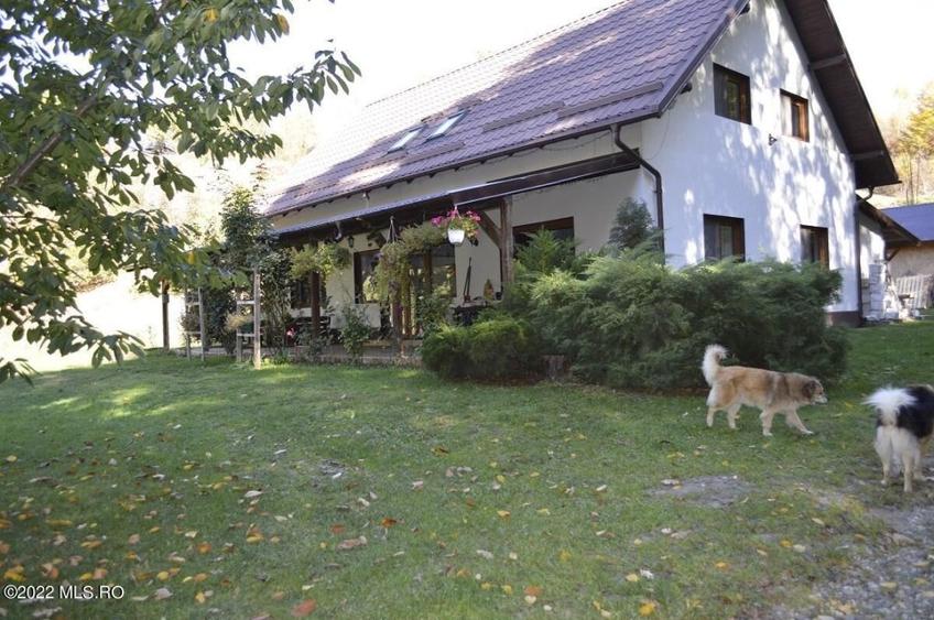 Topoloveni - Conacul Ion Mihalache, Domeniu pe 5 Hectare! - 6