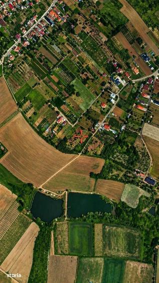 Teren cu pomi fructiferi , vie si loc de casa - 4