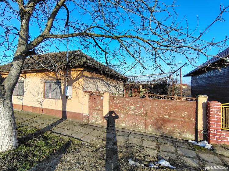 Vand casa in localitatea Horia - 5