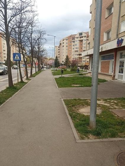 Spatiu comercial de vanzare - 4