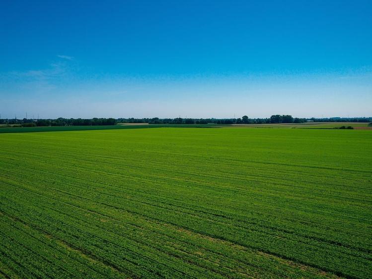 Vanzare Teren Extrav. divizate Arabil, Pășune Chesint, Zabrani48.86ha - 2