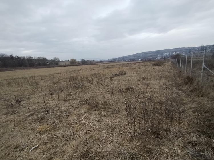 Teren Intravilan de vanzare, 4300mp, front 25 ml, Borhanci - 6