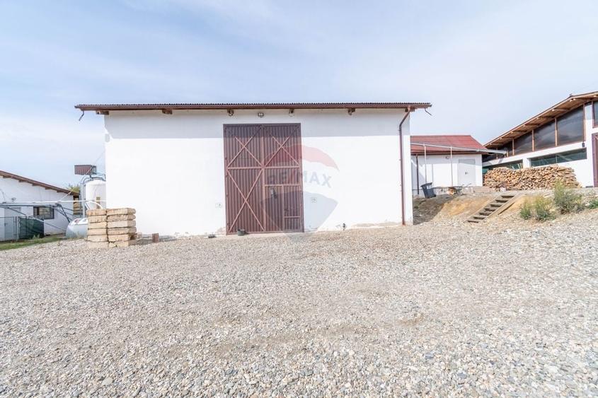 Ferma moderna de porci de vanzare in Curtuiusu Dejului - 16