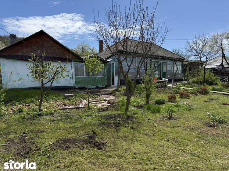 Teren 3550mp, 10km de Iasi, casa - 5