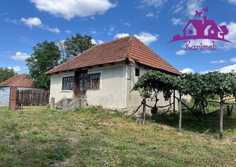 Casa in localitatea Carandeni - 1