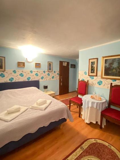 Predeal-Pensiune de vanzare  - 5