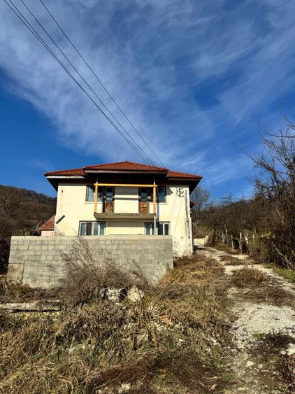 Casa de vanzare-Sg.de Padure - 5