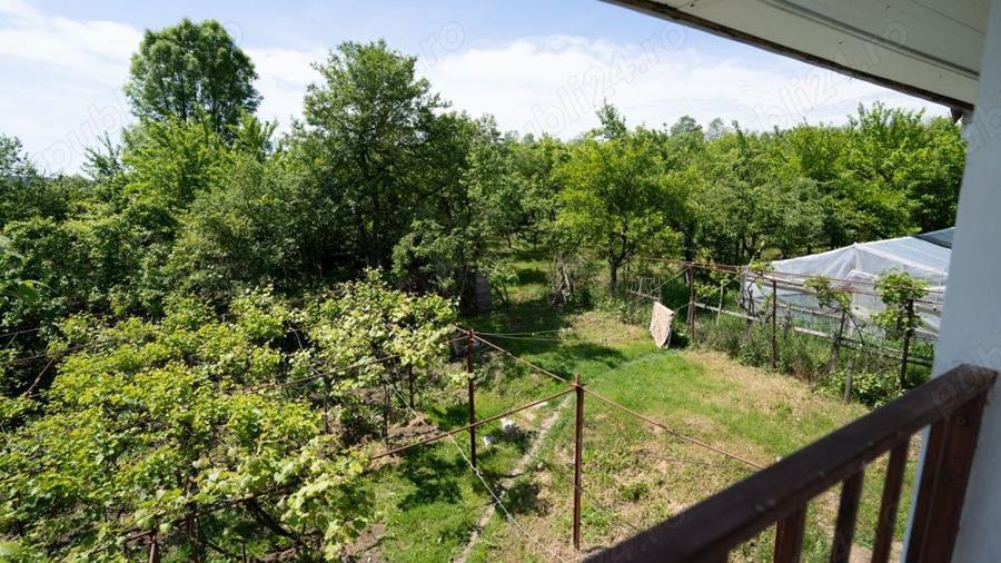 Vila P+M situata intr-un loc mirific, aproape de padure - 6