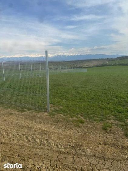 PROPRIETAR Teren langa satul Bungard - 2