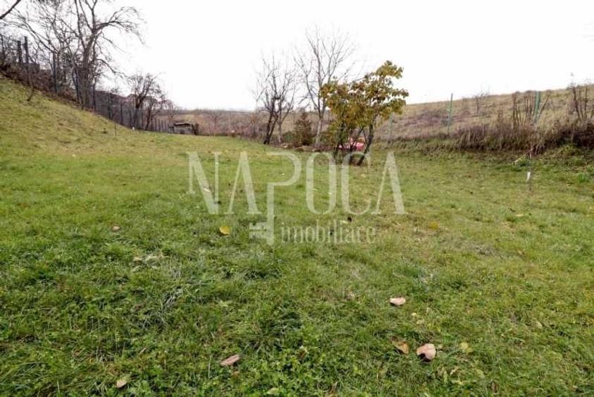 Casa 5 camere de vanzare in Andrei Muresanu, Cluj Napoca - 15