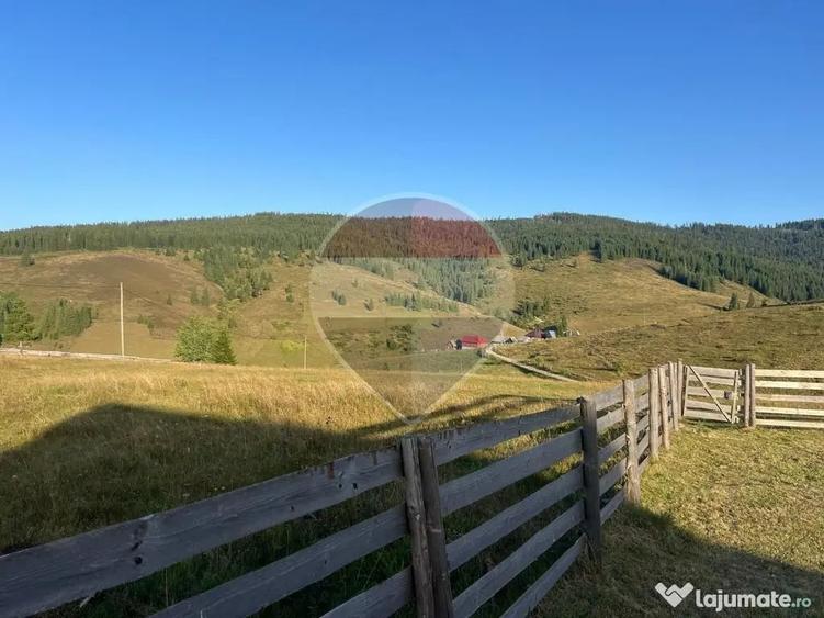 Teren în Giurcuța de Sus