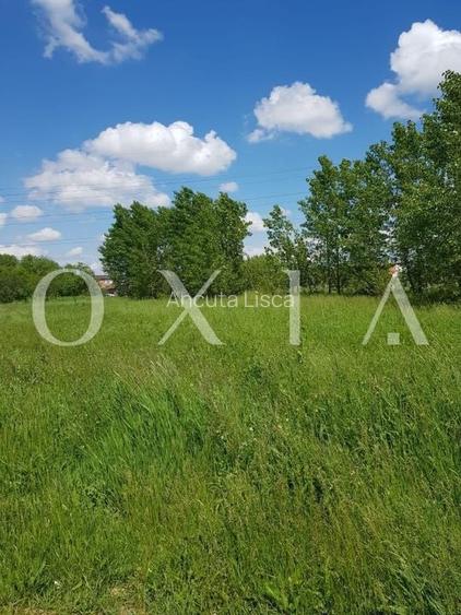LX257 Giroc-Flonta, utilitati, locuinte colective