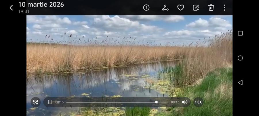 Teren extravila  - 1