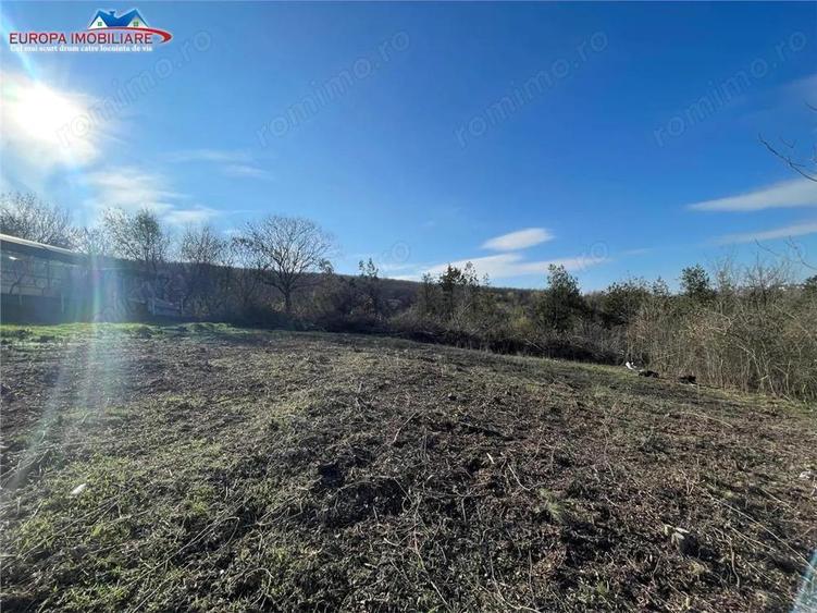 Teren de vanzare zona Bididia Tulcea - 7