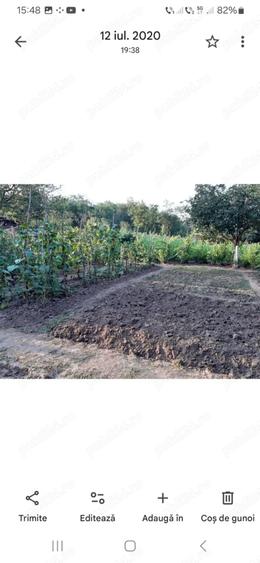 Casa batraneasca in Sarulesti jud..Calara?i.1600 m. Pre? negociabil. - 2