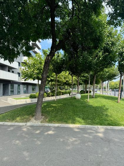 Spatiu Comercial | Stradal | 338 m2 | Trafic intens | Vitralii | - 12