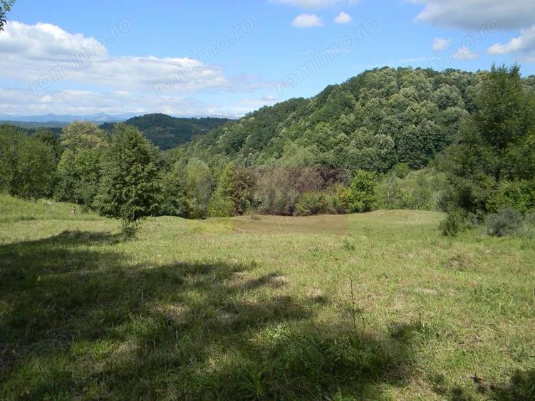 Teren intravilan de vanzare in Telega - 16