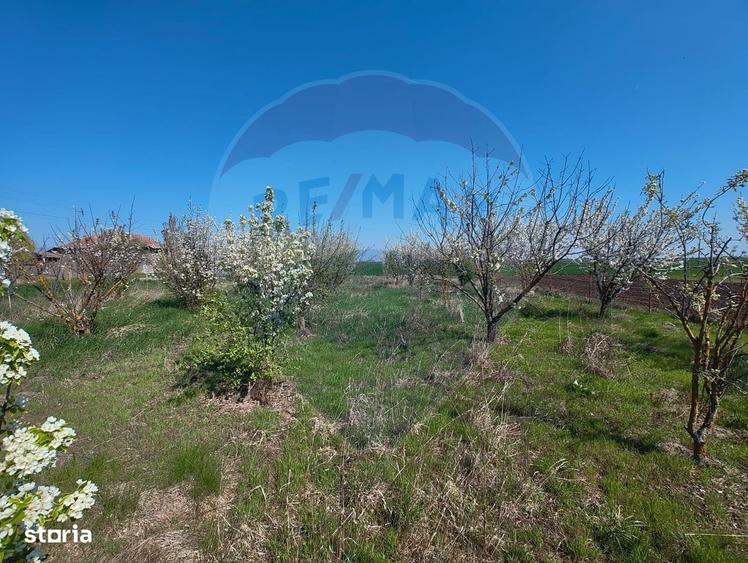 Casa de vanzare cu teren de 2175 mp,anexe si livada generoasa | Mailat - 20