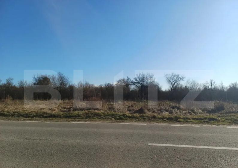 Teren intravilan de vanzare, 1.000 mp, zona RASOVITA - 3