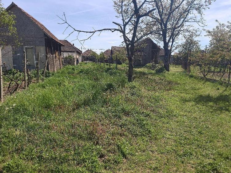 Casa din caramida ,izolata in Uilecul de Cri? pre? negociabil! - 1