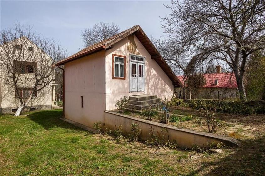 FILM! Casa  pe domeniu de 3.117 mp, Viperesti  Buzau - 15