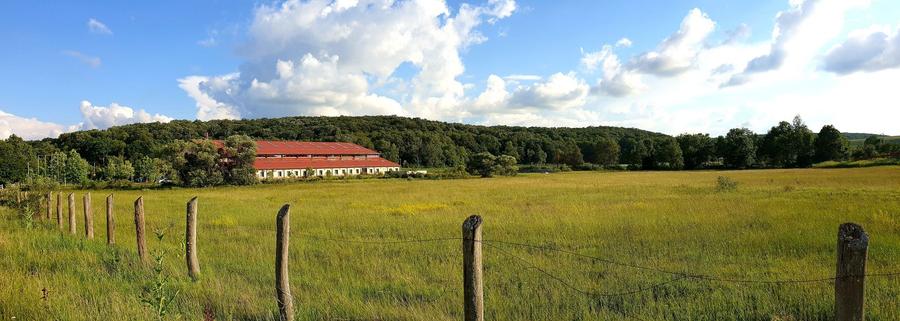 Destinație mixtă (restaurant, showroom, manej) – Herneacova - 2