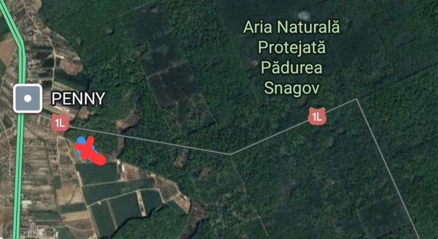 Teren cu utilitati si acces la Padurea Snagov, la 300m Penny si Mega - 1