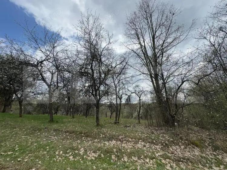 Vand casa cu 1 ha de livada in Carmazanesti - 2