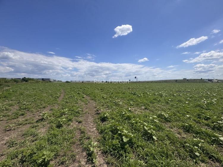 Teren agricol extravilan de 10000 mp, în Ghiroda