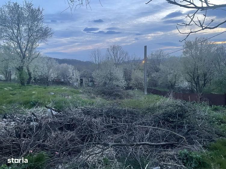 Teren Resita Extravilan Stema 24 Ianuarie Pret Negociabil - 4