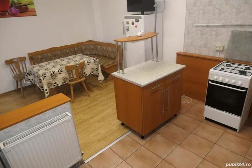 Apartament 1 camera spa?ios, incalzire proprie, central - Podgoria - 5