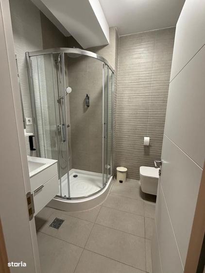 Studio near George Enescu Museum\Victoriei - 5