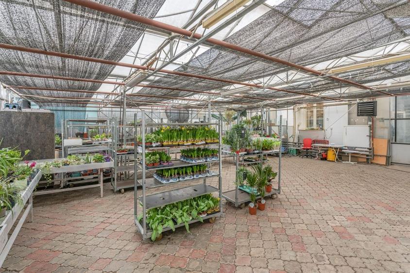 CASA BARTOLOMEU- sediu firma/ comercial/ servicii- zona circulata - 13